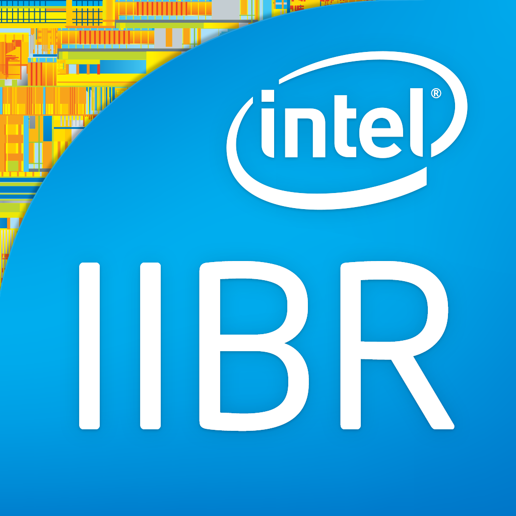 Intel®  IT Business Review