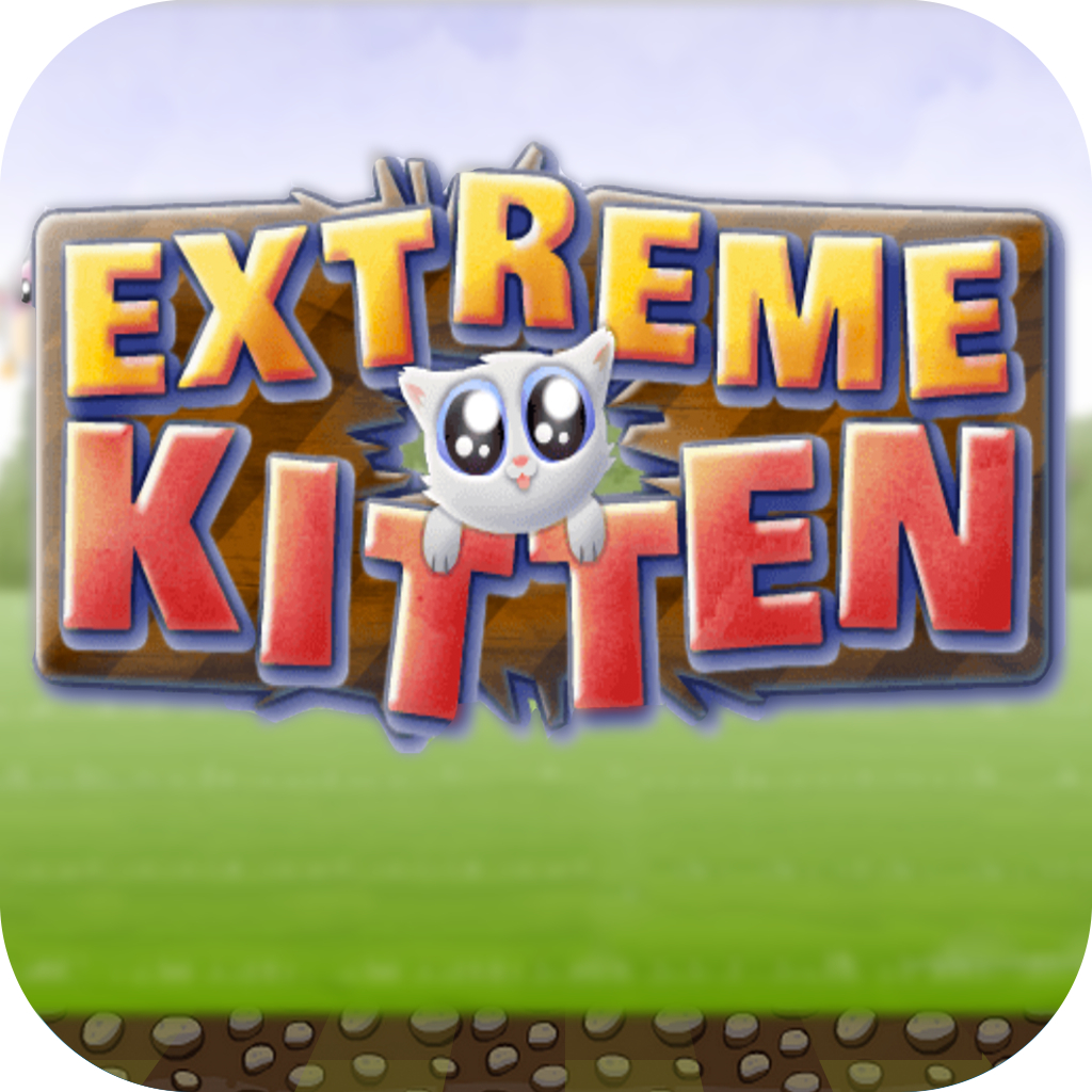 Extreme Kitty Fun Game