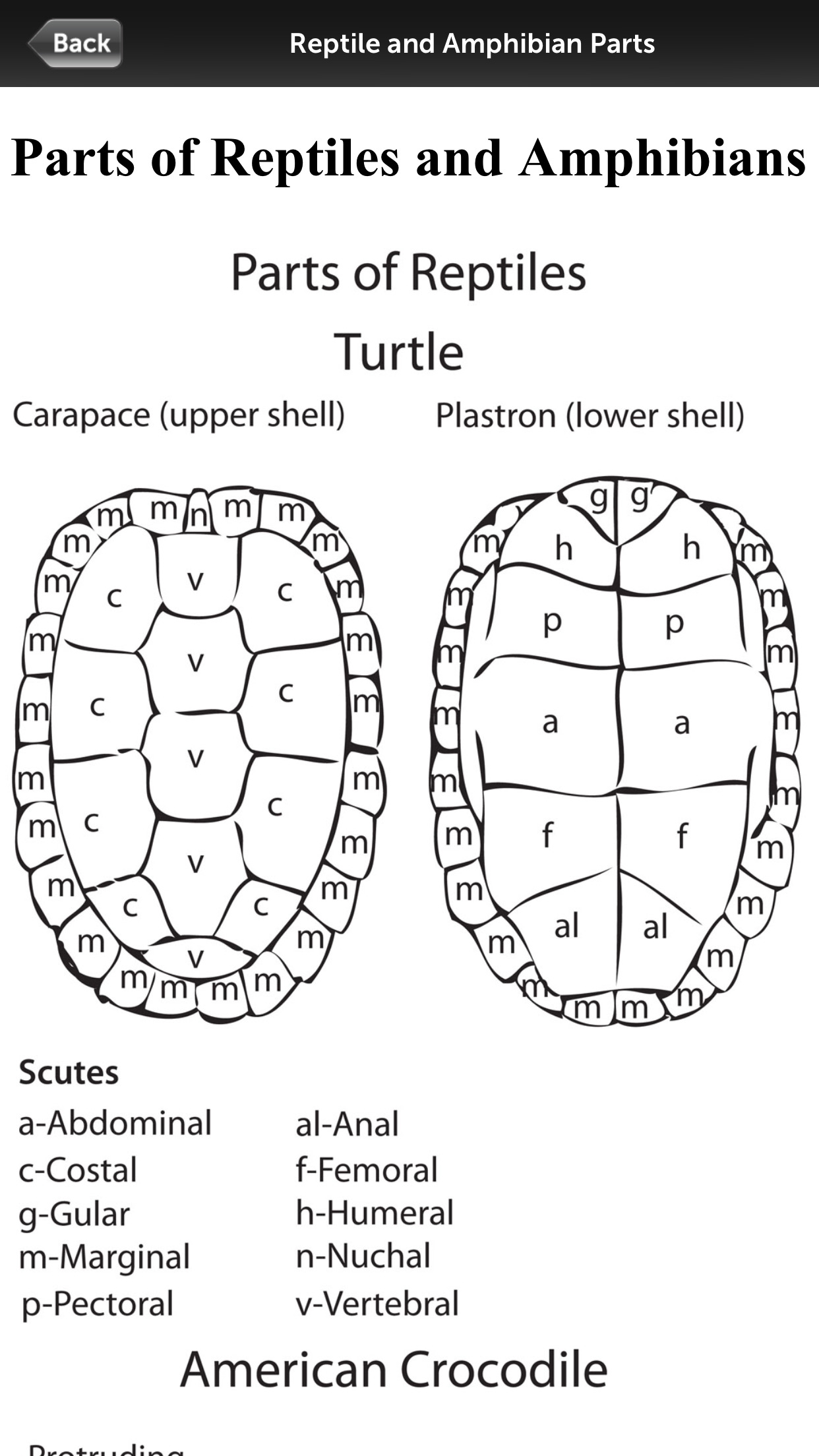 Audubon Reptiles and Amphibians – A Field Guide to North American Reptiles and Amphibians screenshot-3