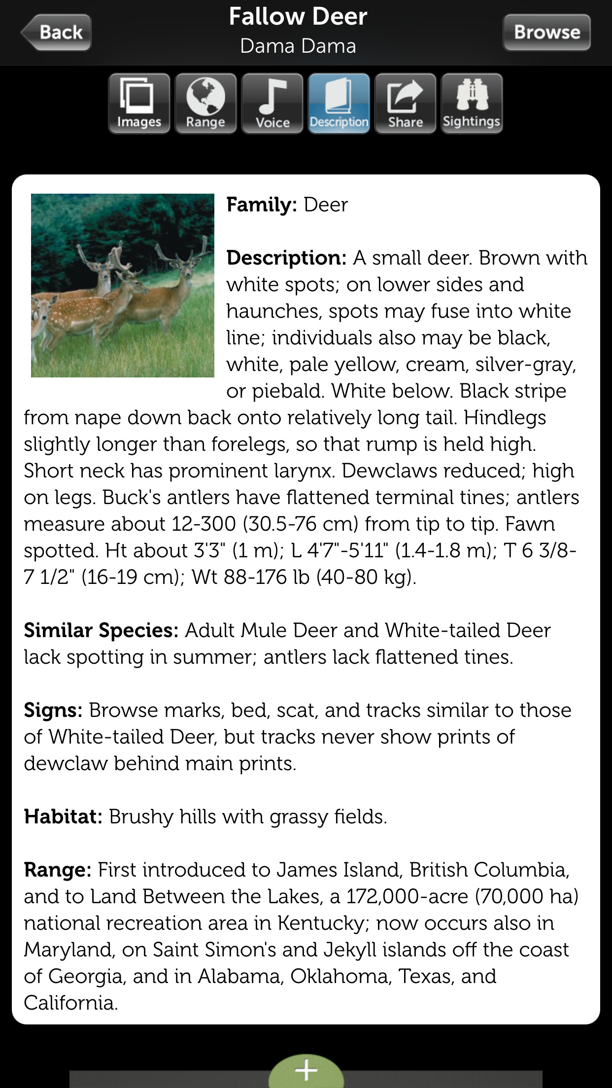 Audubon Mammals - A Field Guide to North American Mammals screenshot-4