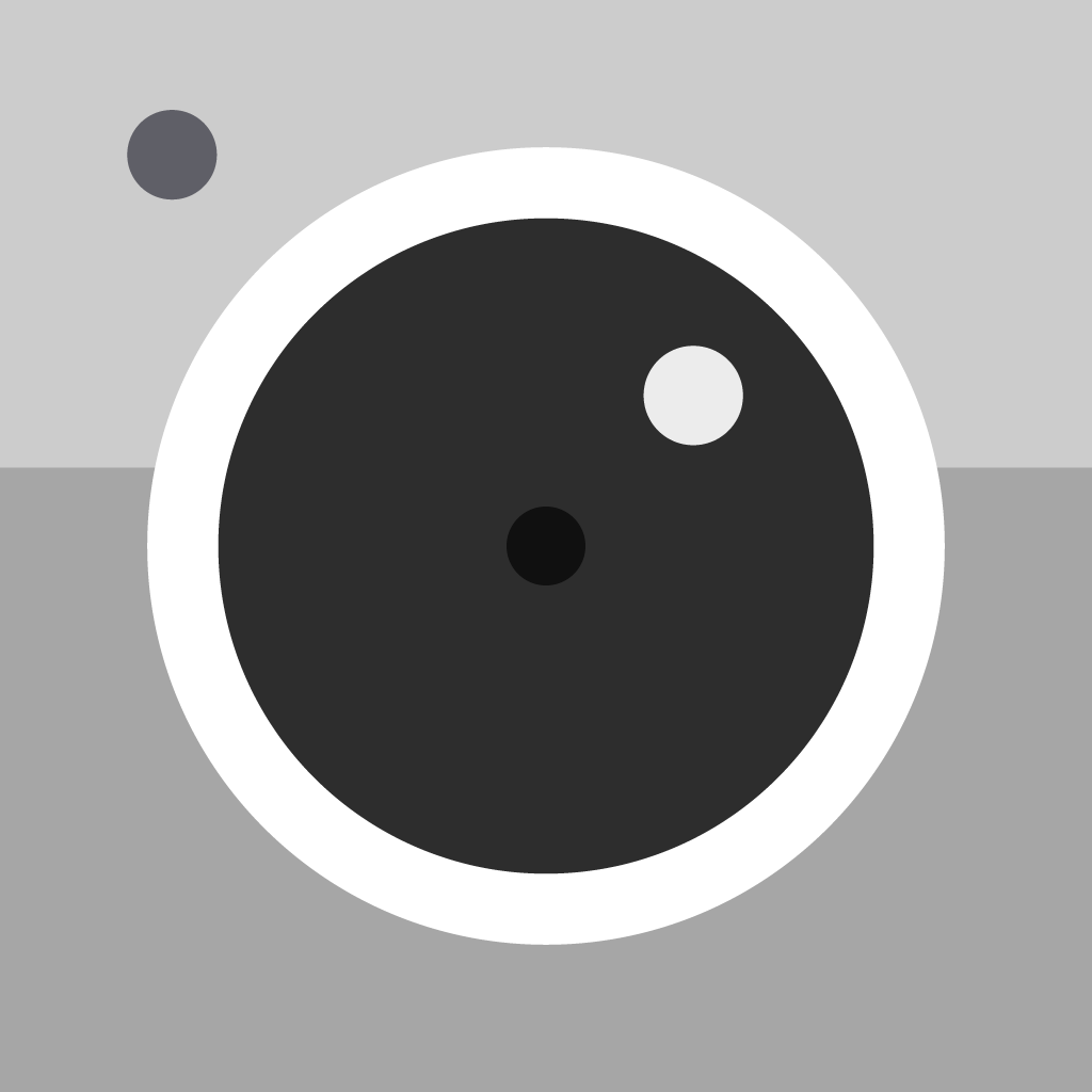 Discord camera mirrored