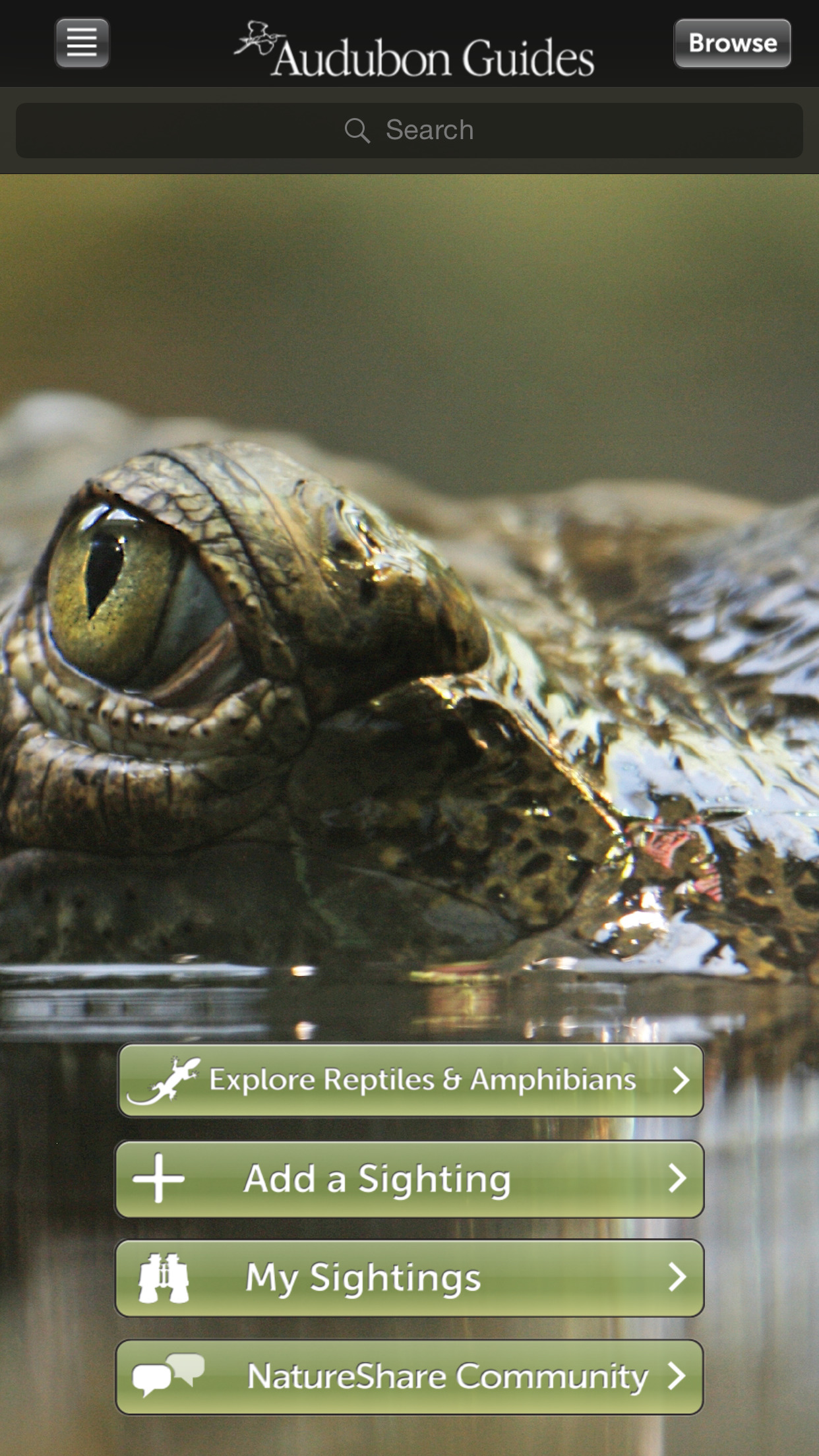 Audubon Reptiles and Amphibians – A Field Guide to North American Reptiles and Amphibians