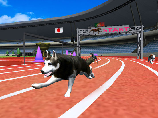 Dog Racing Games