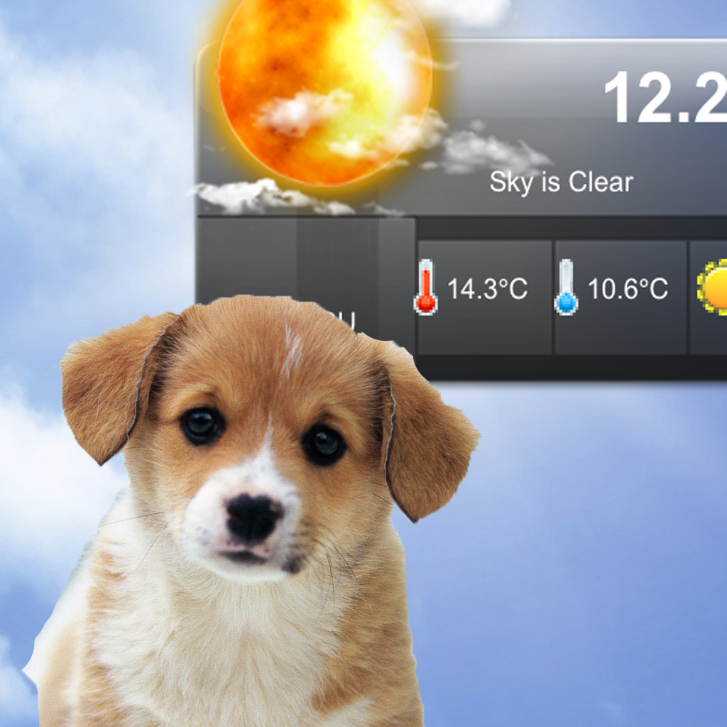 Puppies Weather icon