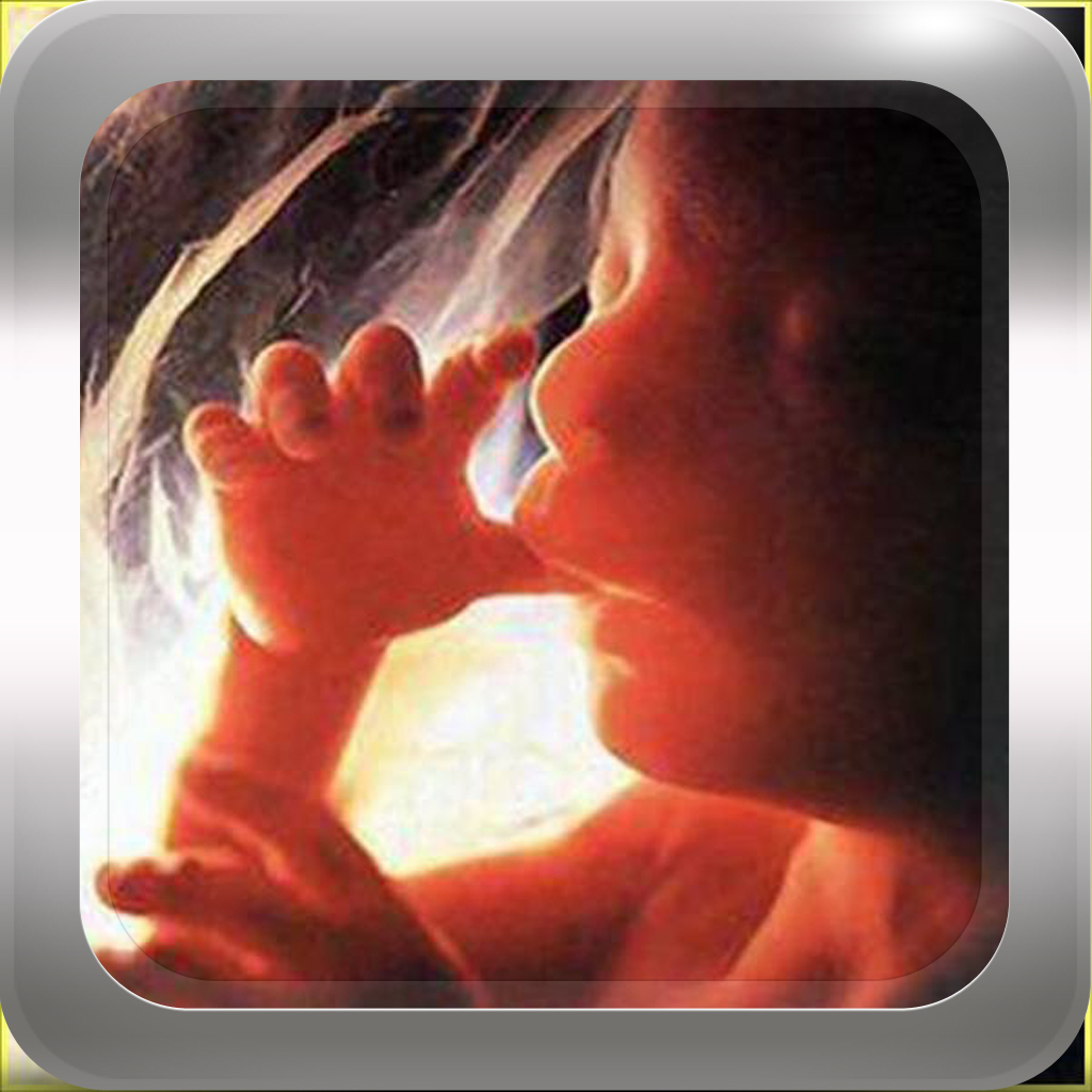 Obstetric Ultrasound Book icon