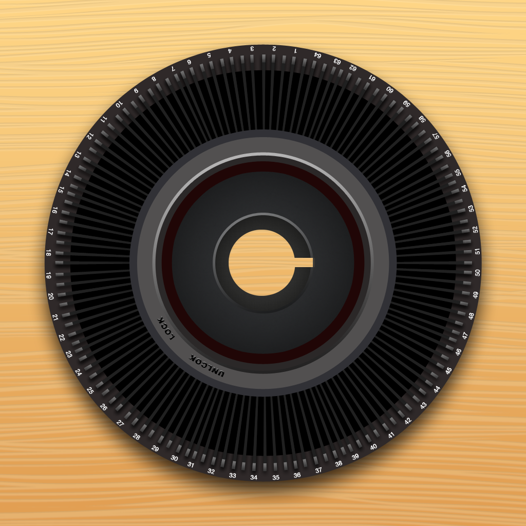 Carogram - Instagram for the iPad