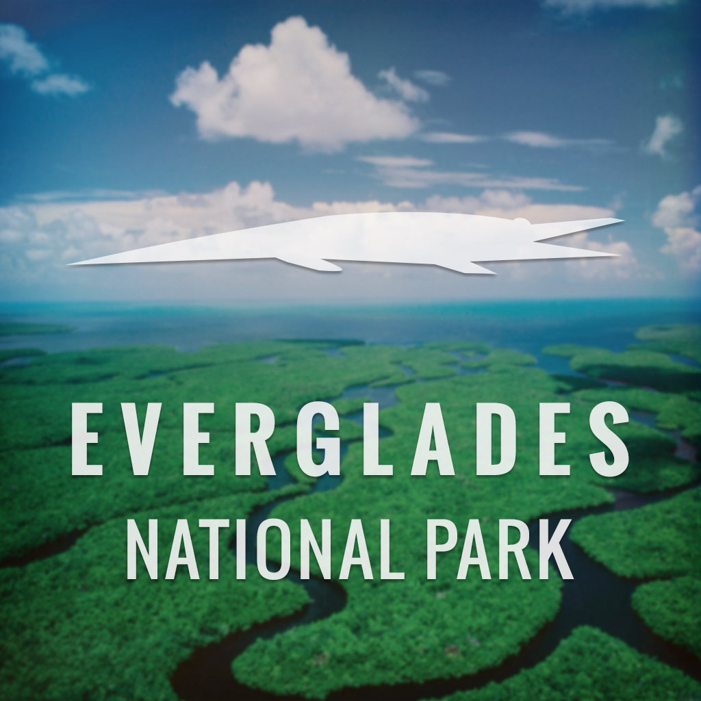 Everglades National Park—— Global Travel