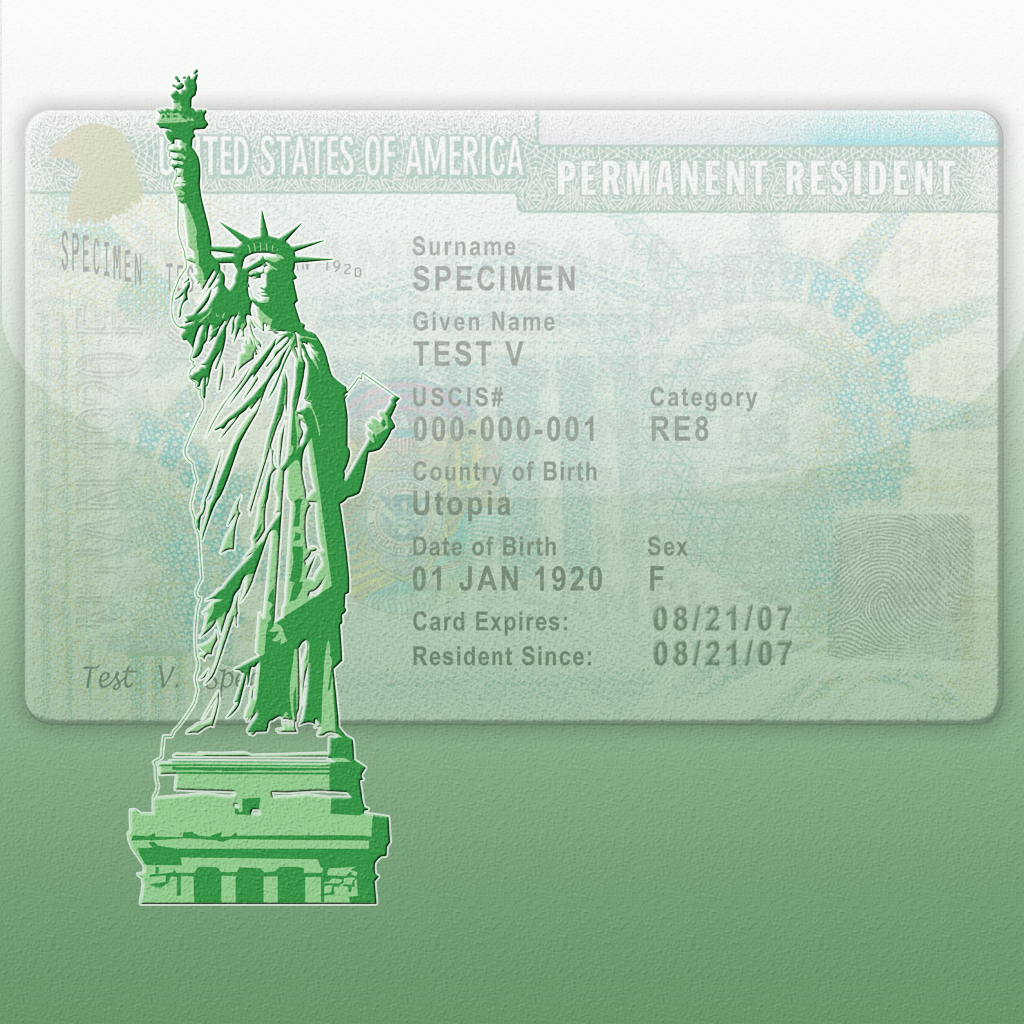 Quick and Easy Guides to U.S. Immigration - the Definitions Edition icon