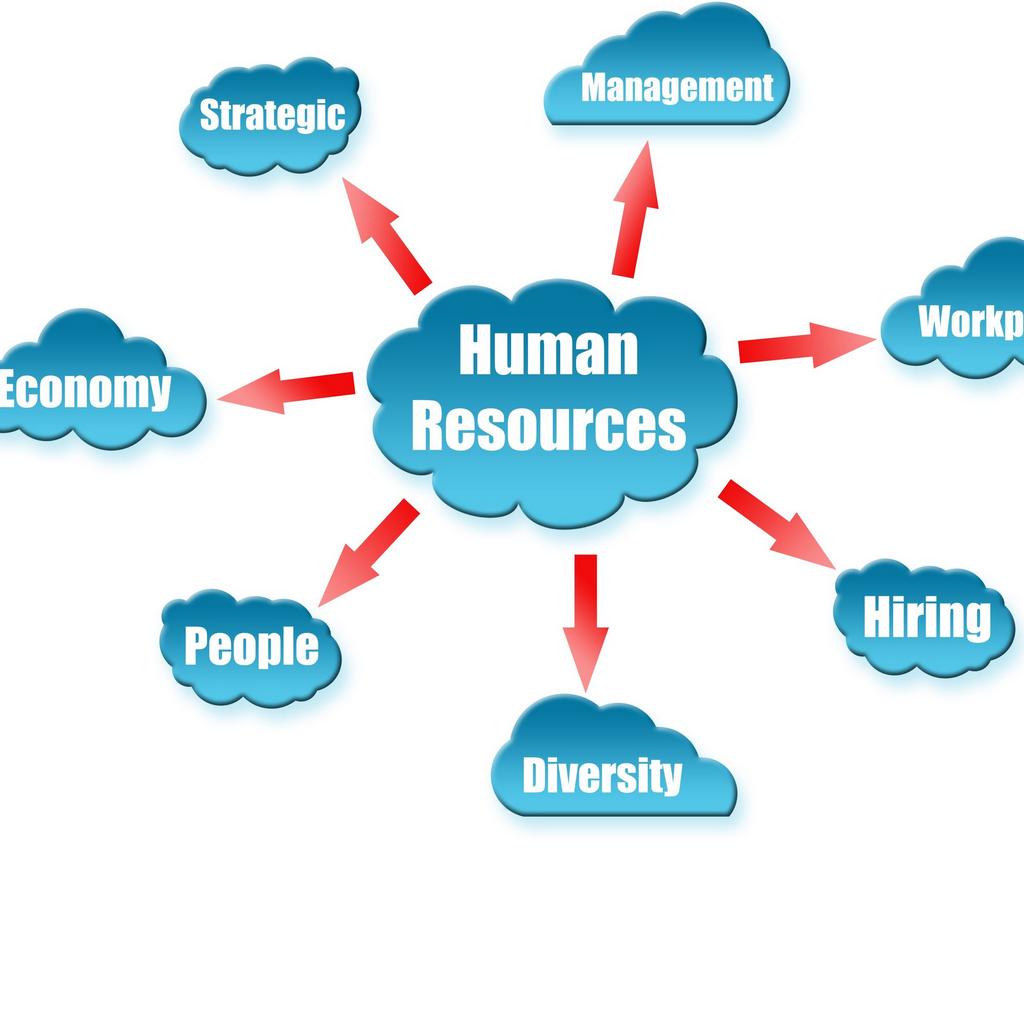 professional human resources 1000 questions