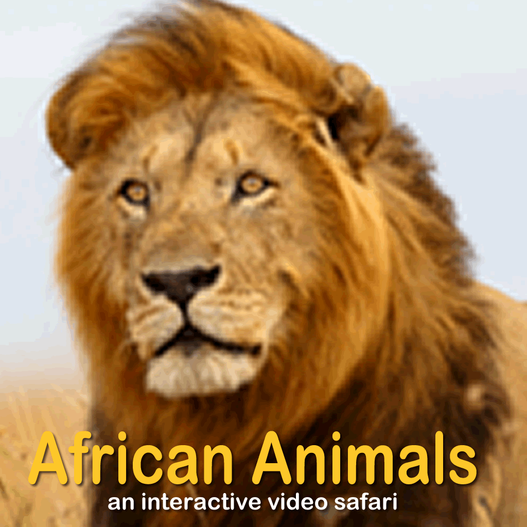 African Animals Video Safari - Video Flashcard Player icon