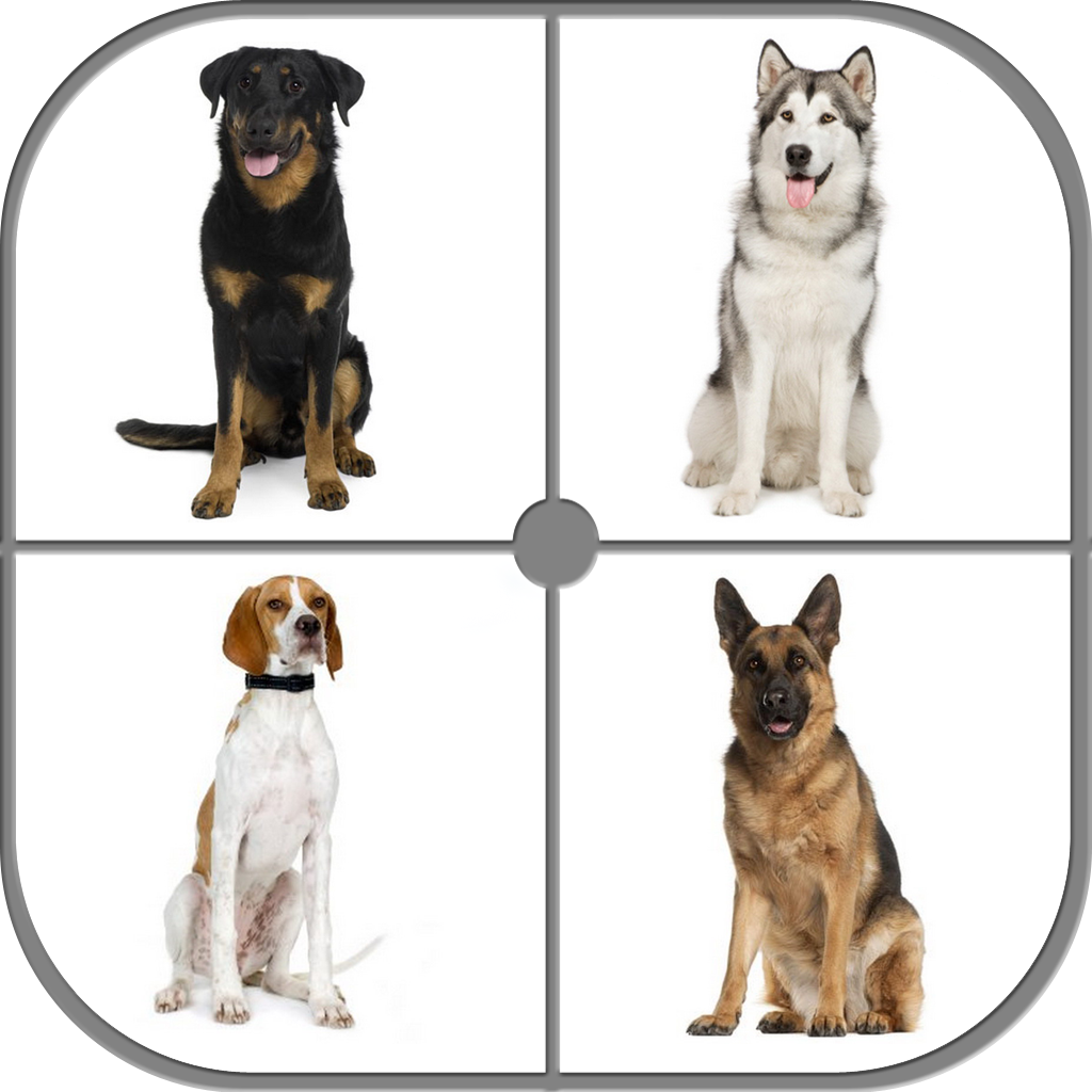Guess Dog - Dog Breeds icon