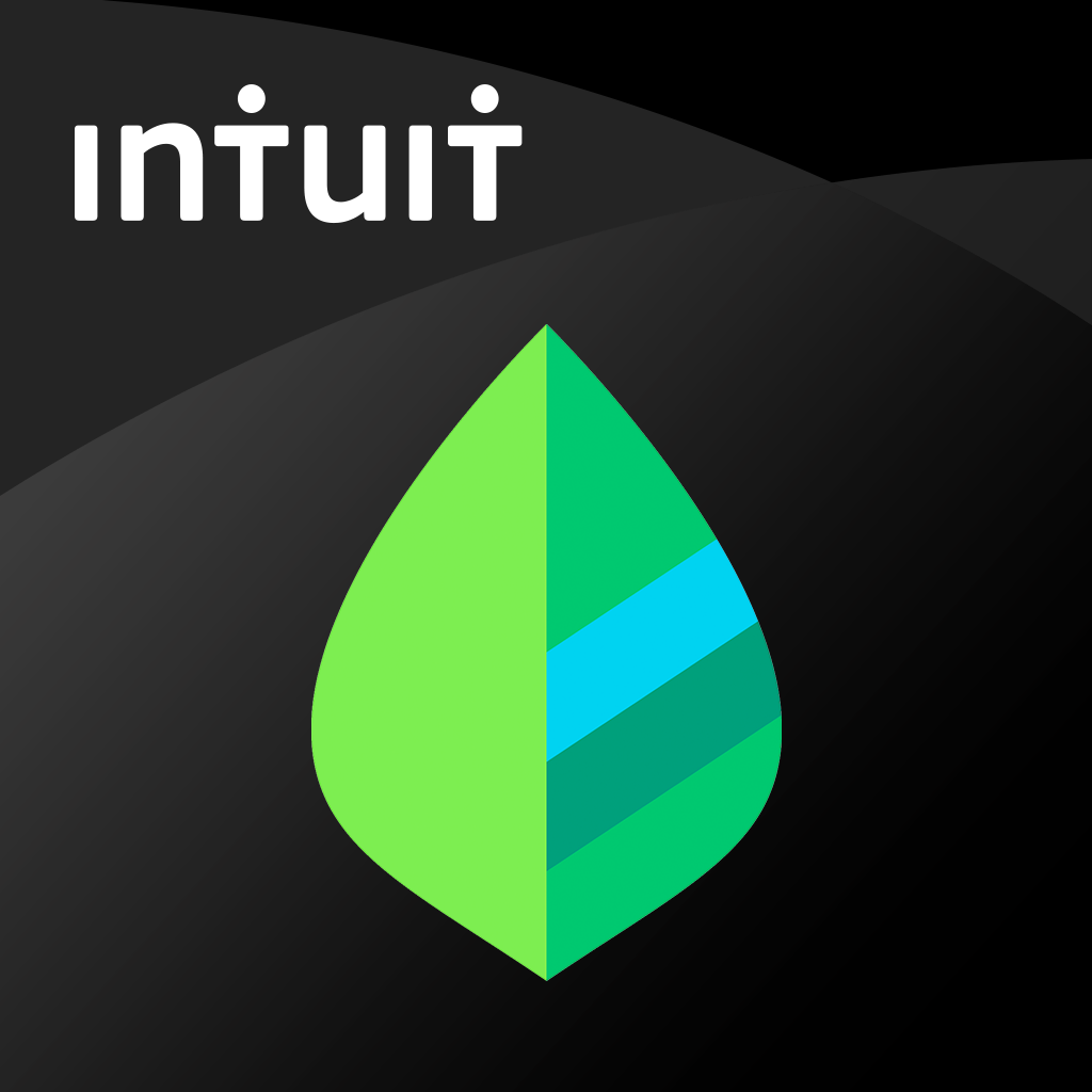 Mint Personal Finance