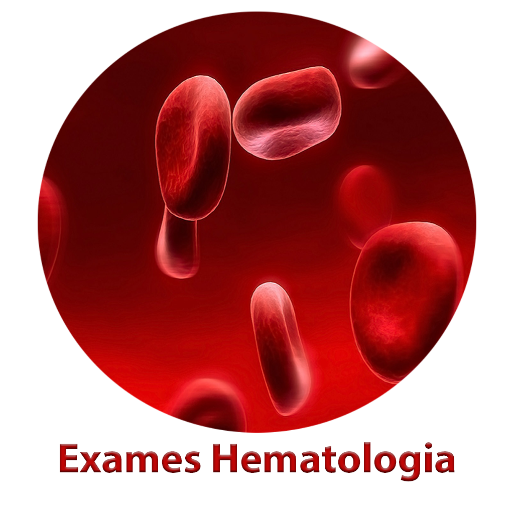 Exames Hematologia icon