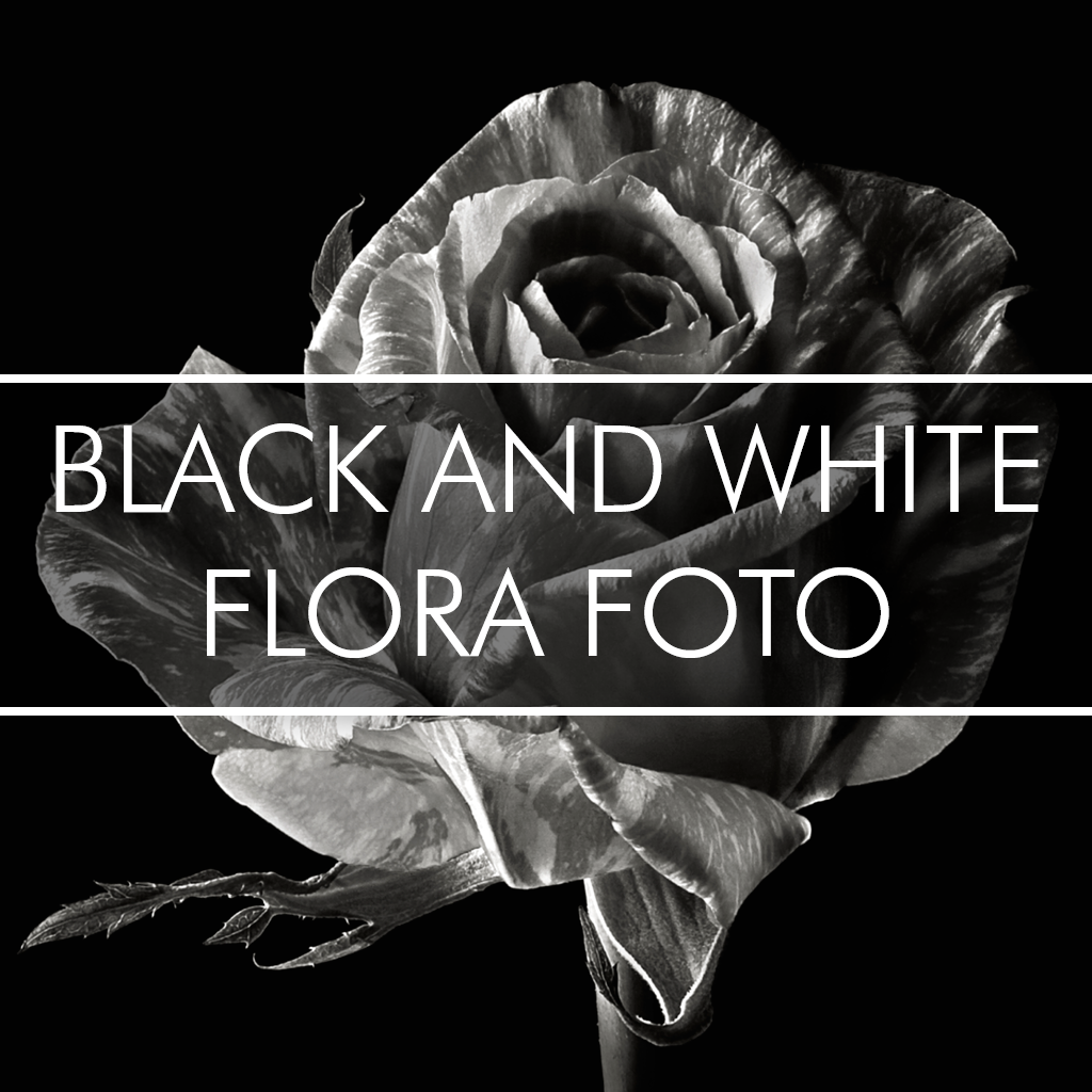 Black and White Flora Foto icon