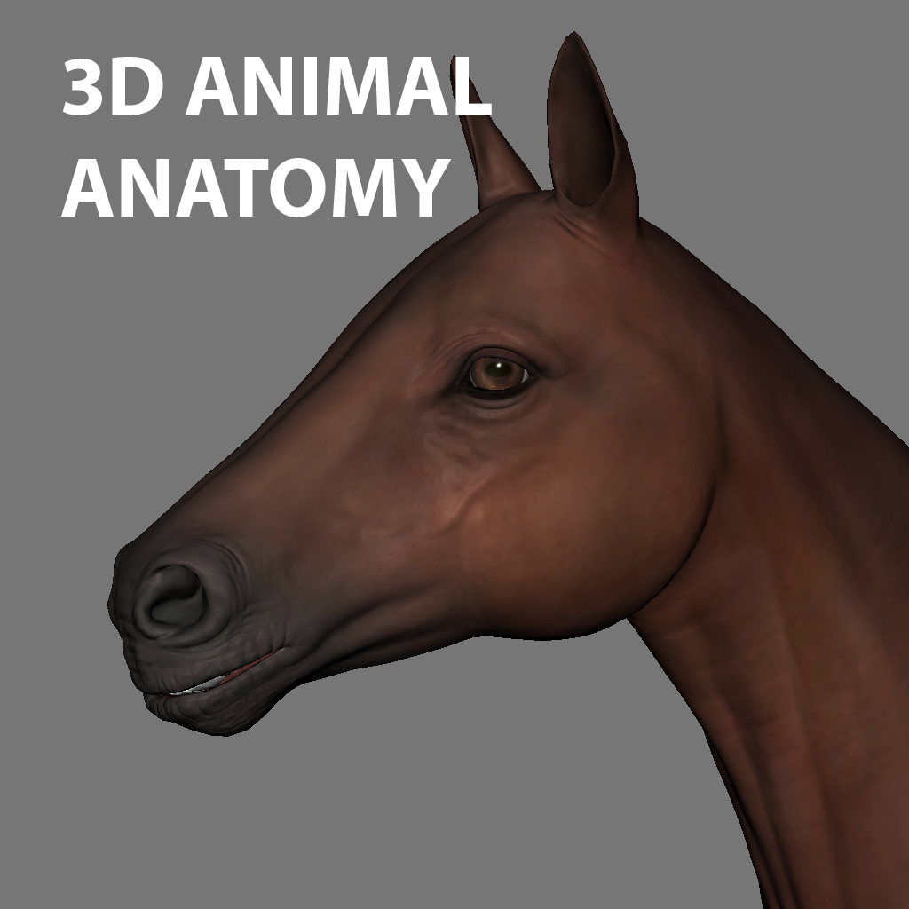 Animal Anatomy 3D