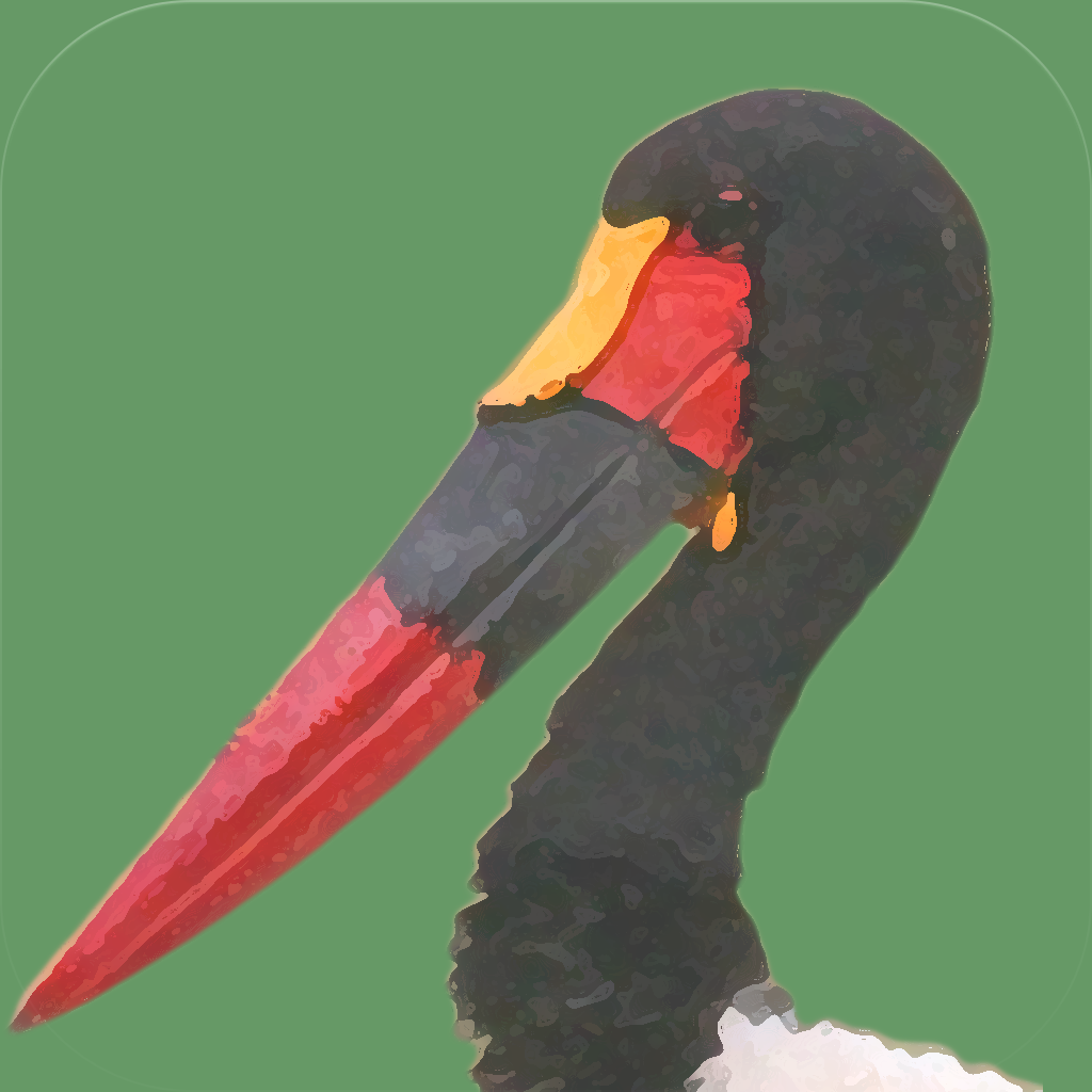 BirdsEye Africa - Bird Finding Guide icon