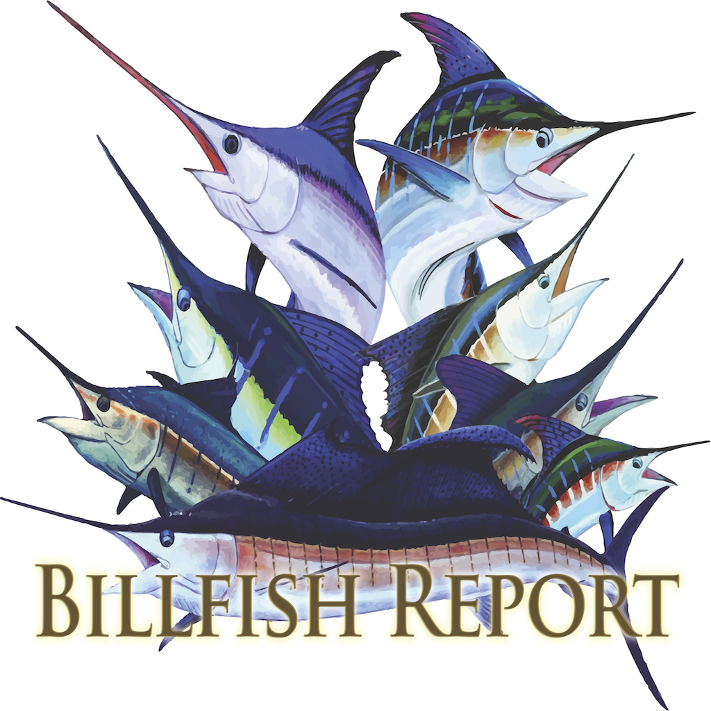 Billfish Report icon