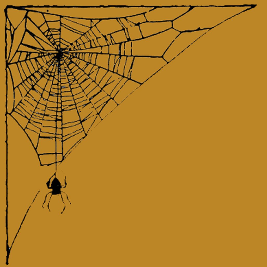 Save From Spider : Escape spider invasion icon