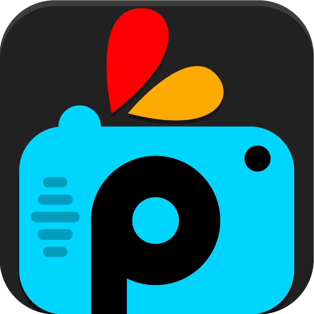 Приложение как picsart для компьютера