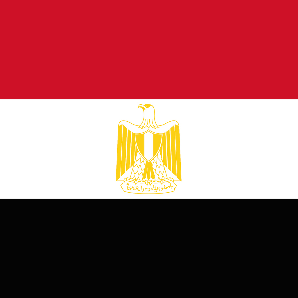 اخبار مصر | اخبار عاجلة