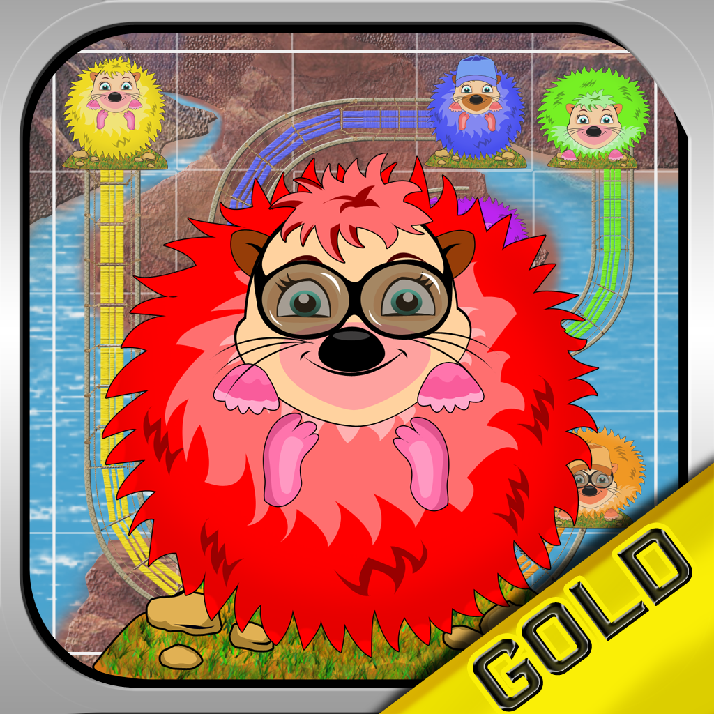 Draw the Rope Bridge - The Hedgehog Line Flow Puzzle - Gold Edition