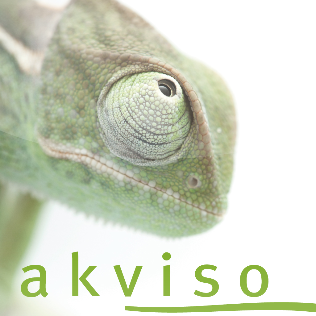 akviso.de Creative Consulting