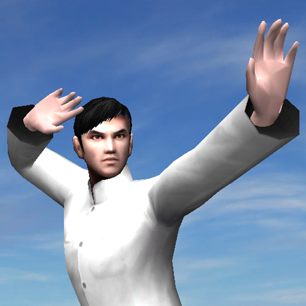 3D Kung Fu - Ba Ji Quan HD icon