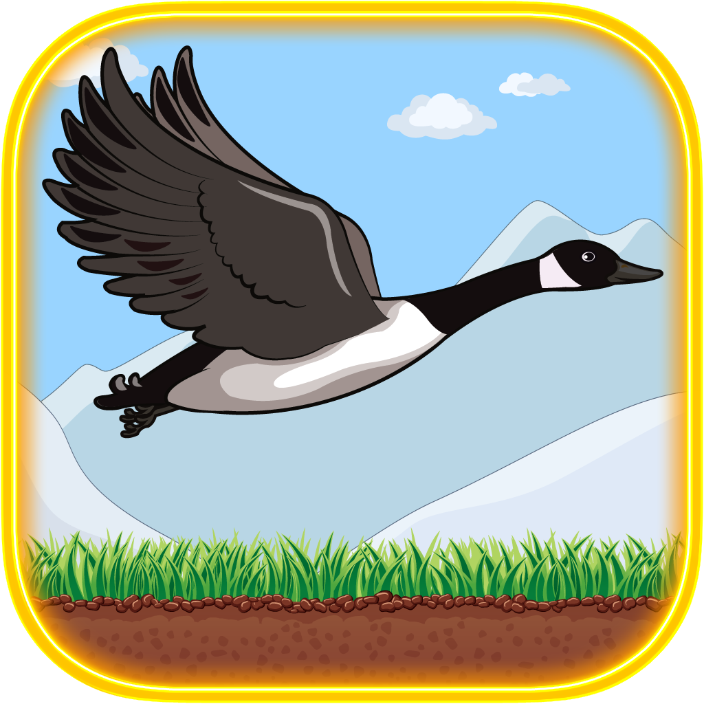 Swoopy Goose™ - The Saga of a Wings Bird