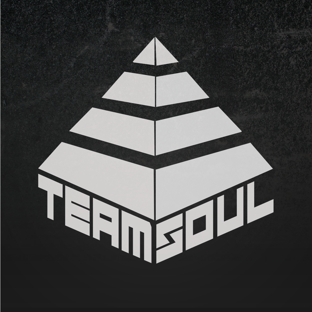 Team Soul icon