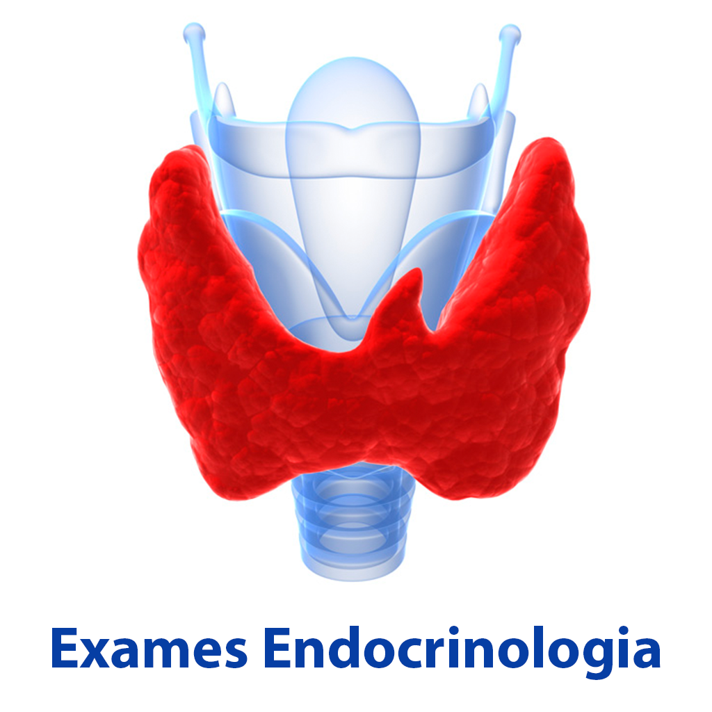 Exames Endocrinologia icon