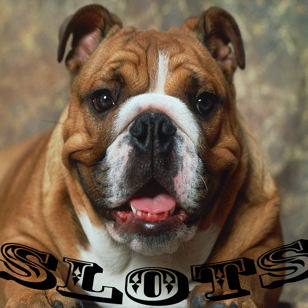 A Bulldog Slots icon