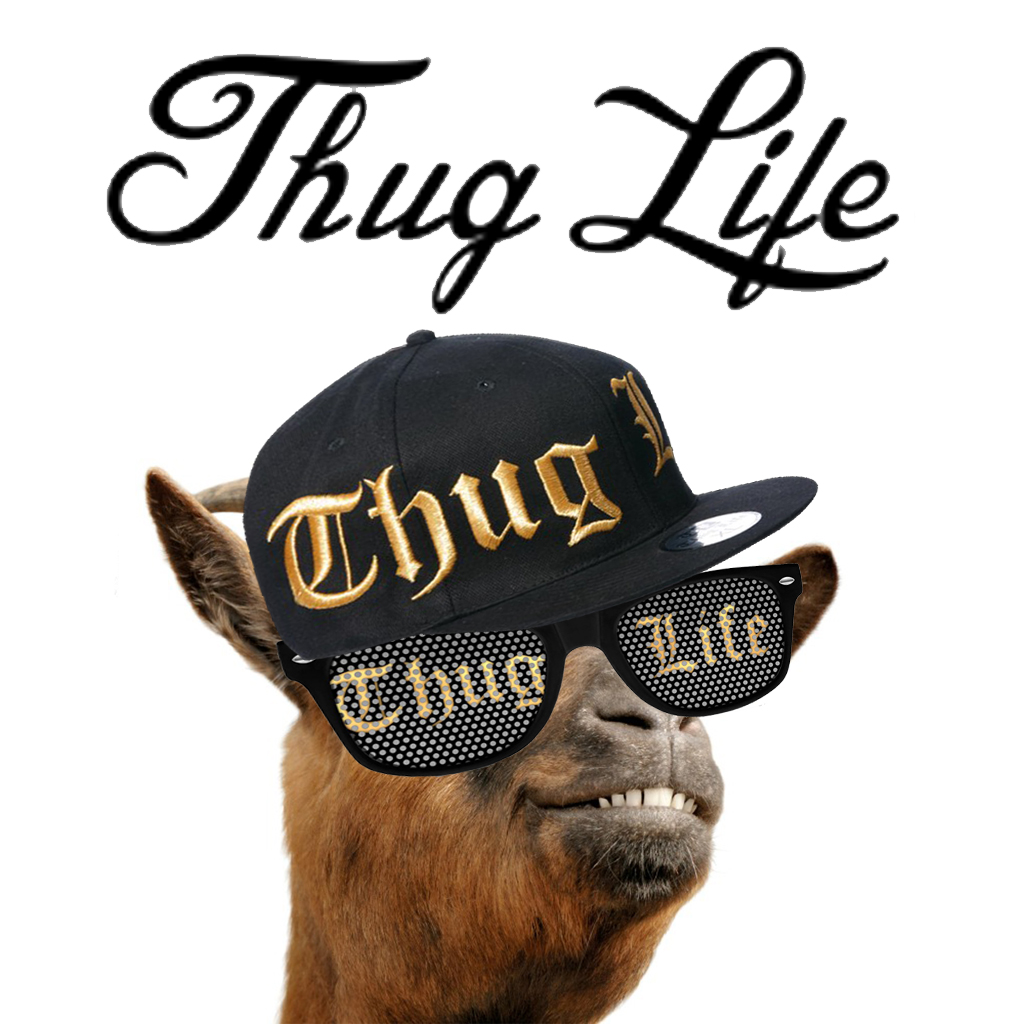 Thug Life Thug Life
