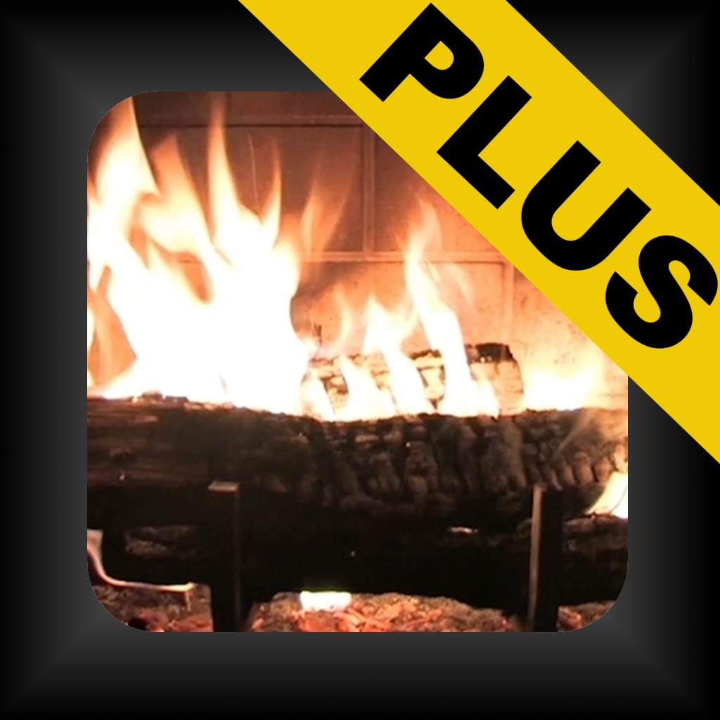 Fireplace With Music Plus