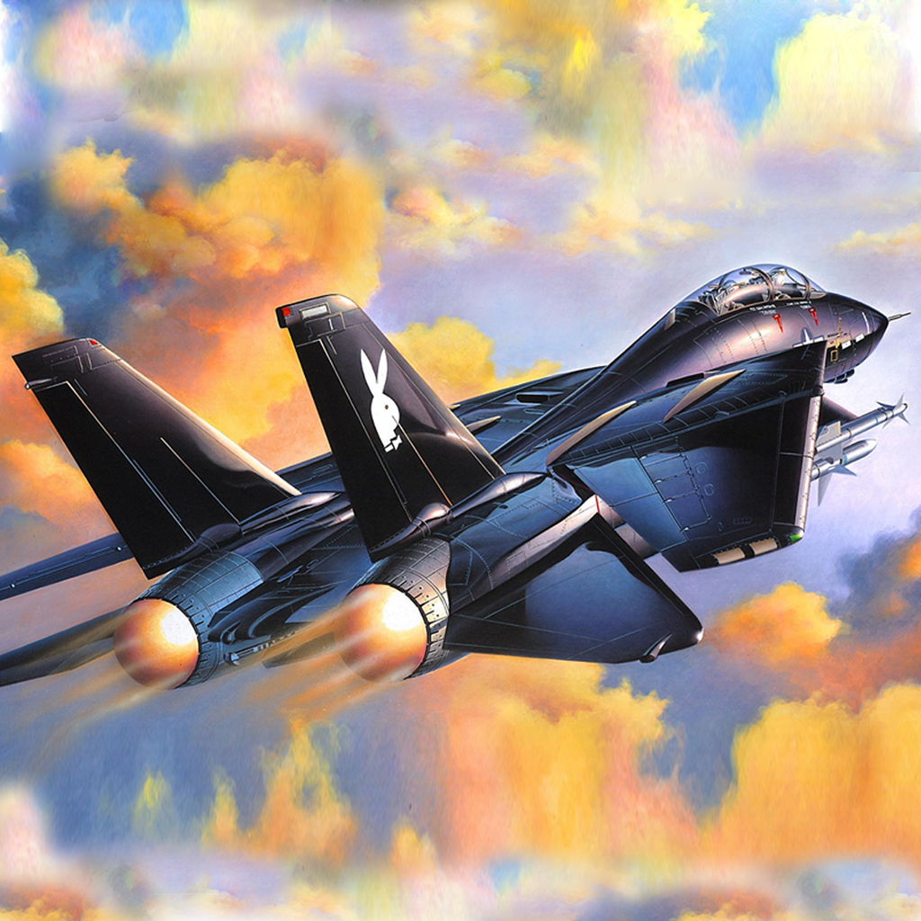 Air Combat Over Valley - Jet Fighters Mission to Save Your Nation