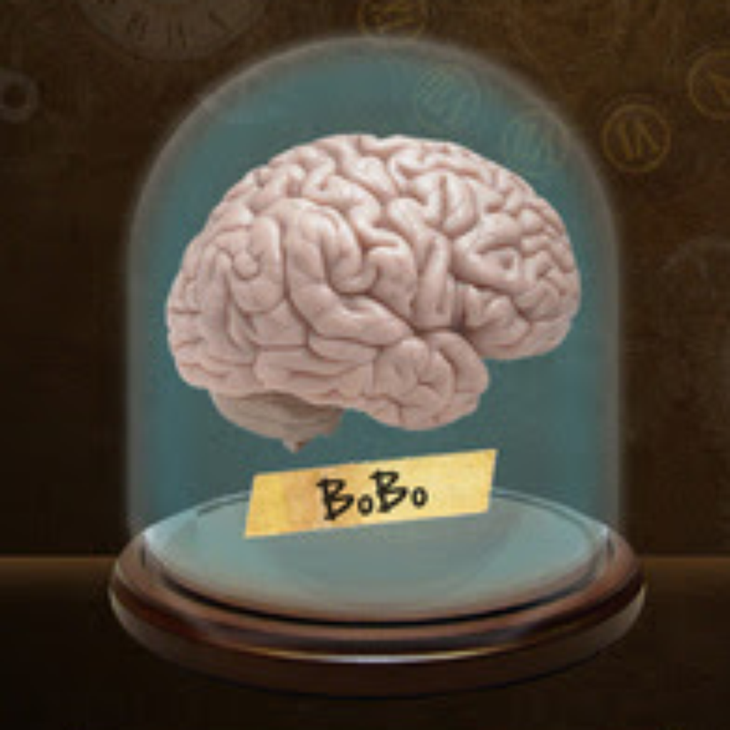 Brain On Brain Off Study Aid and Timer, and the Maximum Mind Oath Lite