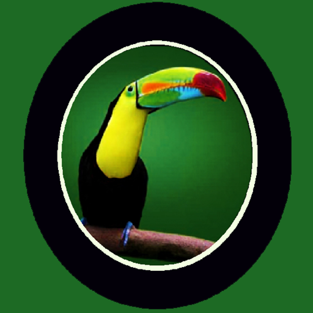 Tropical Elementary icon