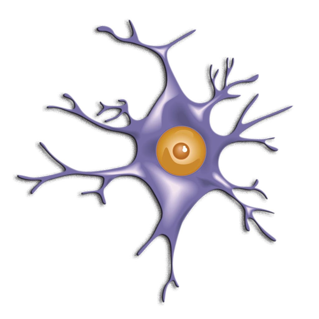 Neurotrauma 2013 icon