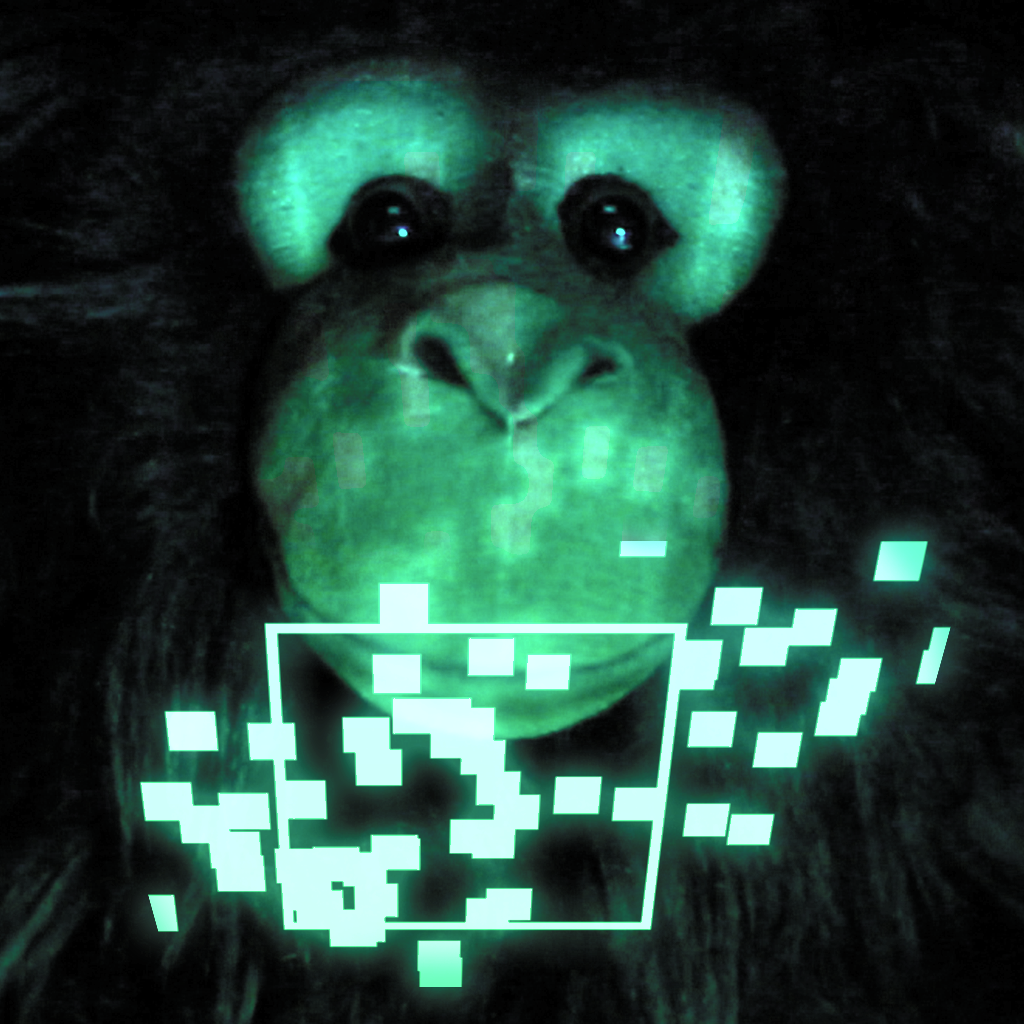 simian.interface