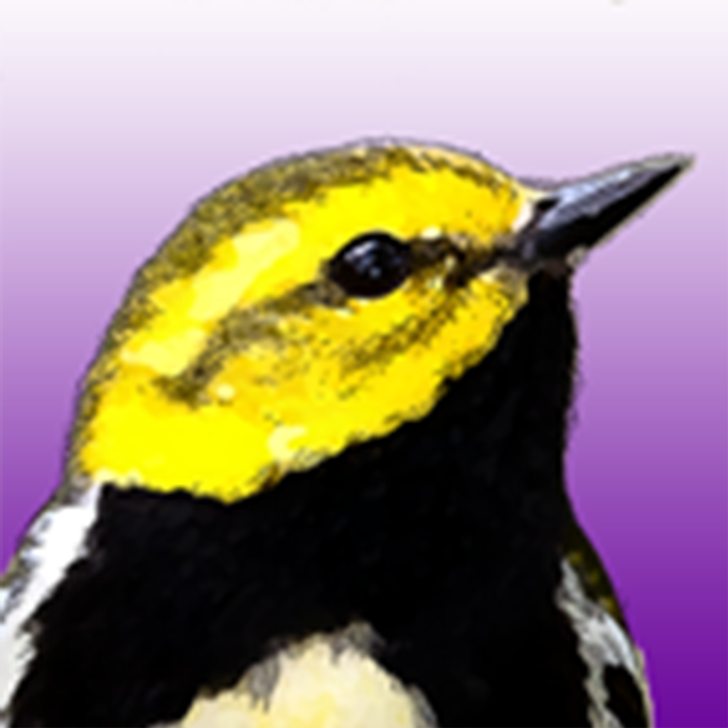BirdsEye East - Bird Finding Guide to Eastern North America