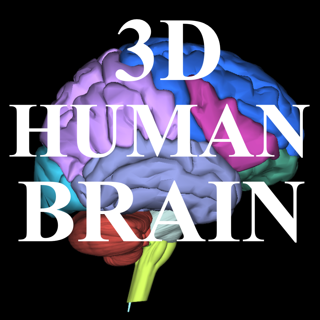 Parts of Human Brain, 3D icon