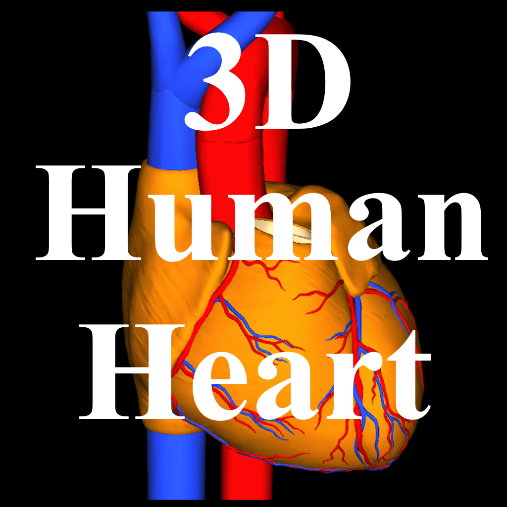 Parts of Human Heart icon