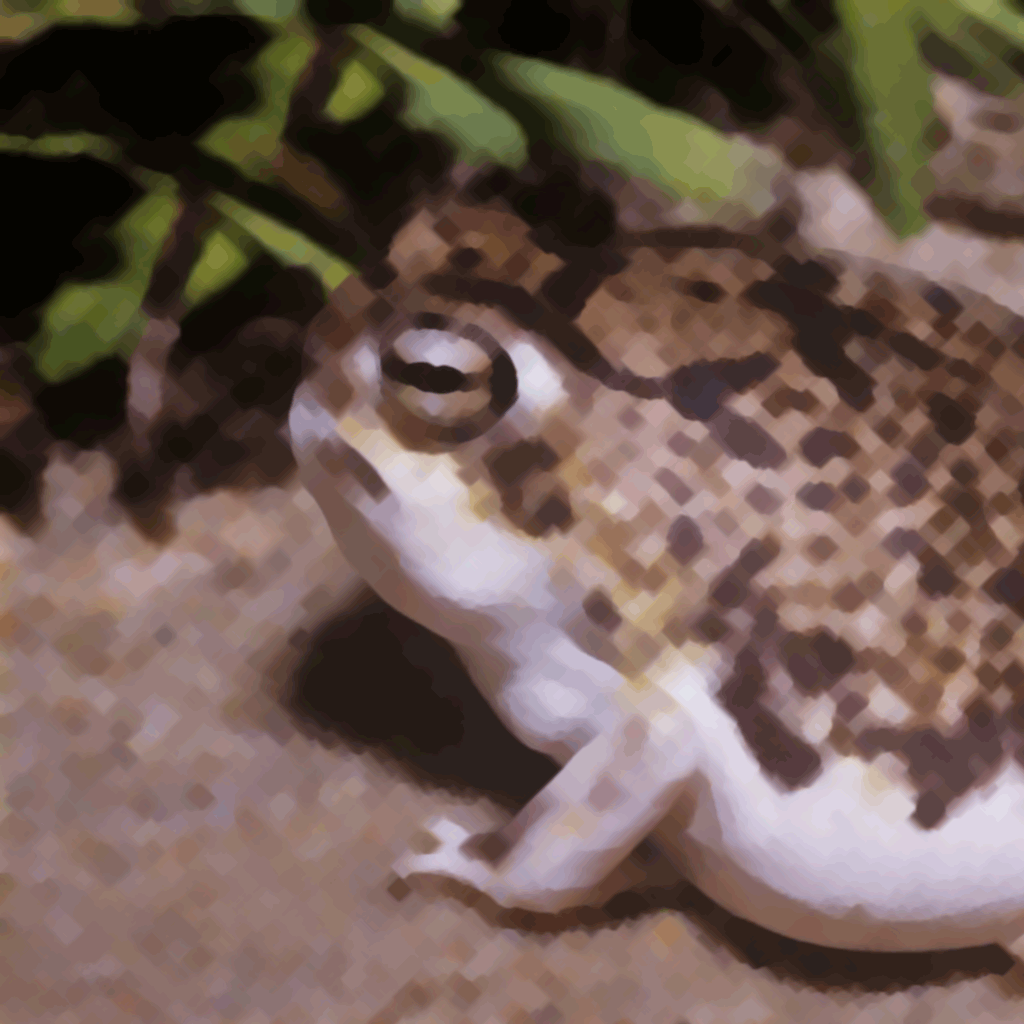 lovelyfrog