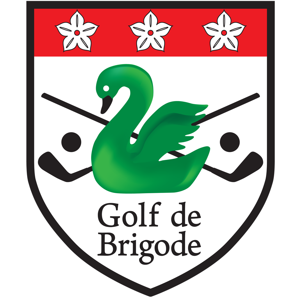 Golf de Brigode icon