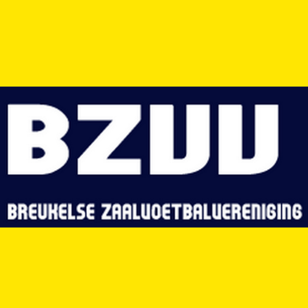 BZVV icon