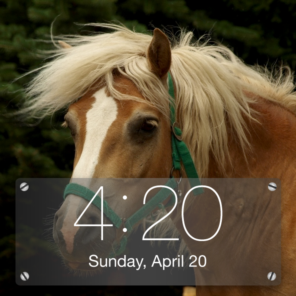 Horse Lock Screens icon