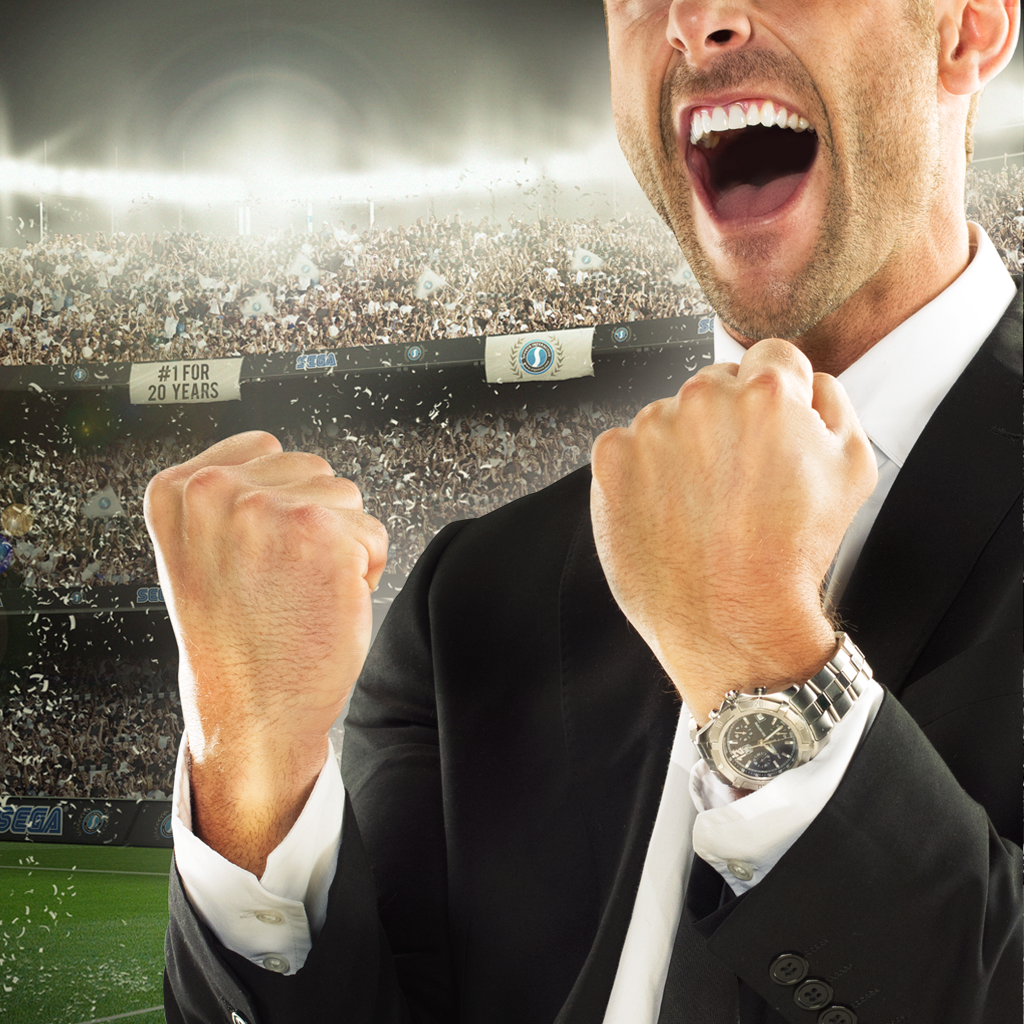Football Manager Handheld 2013 icon