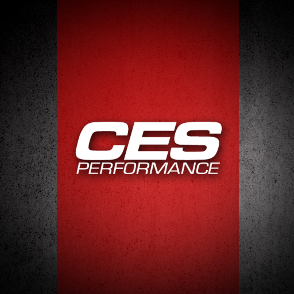 CES Performance icon