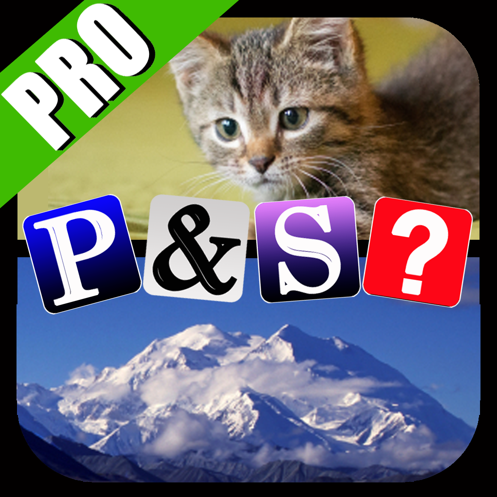 Pics & Synonyms Pro